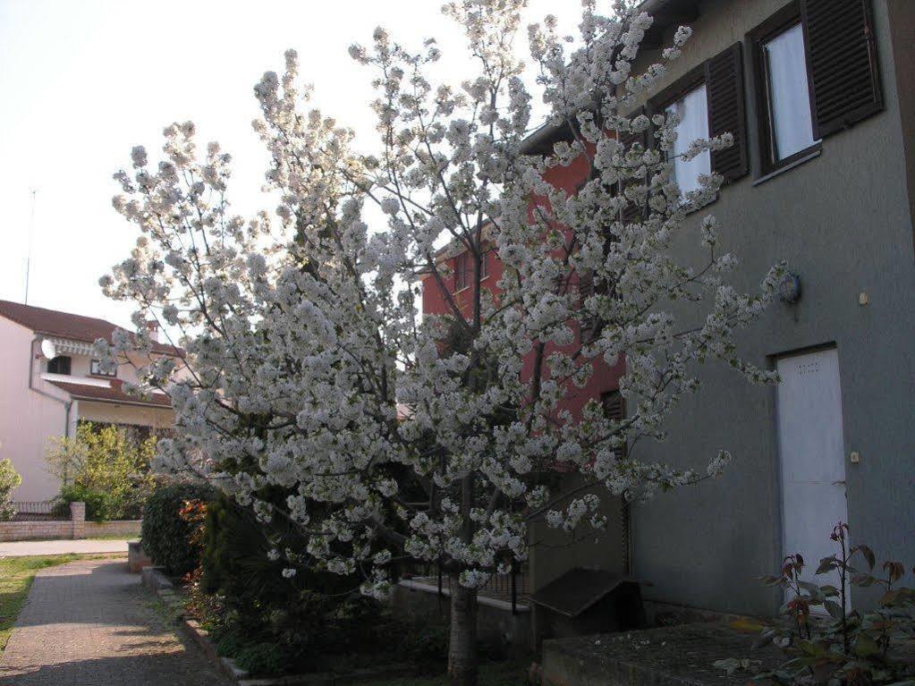 Apartment Cherry Ровінь Екстер'єр фото